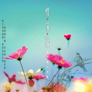 粉红色的回忆原唱是韩宝仪，由春夏秋冬翻唱(播放:20)