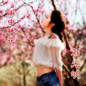 微山湖上莲花红(热度:434)由李亚琴翻唱，原唱歌手刘光明