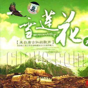 青藏高原(热度:76)由老聂（最近比較忙，回复不周，大家多多包涵）翻唱，原唱歌手尼玛泽仁·亚东