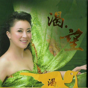 人间第一情(热度:93)由清清翻唱，原唱歌手吴春燕