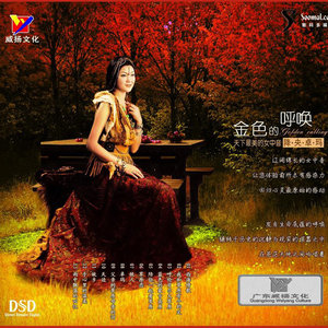 西海情歌(熱度:42)由晏春洲翻唱，原唱歌手降央卓瑪