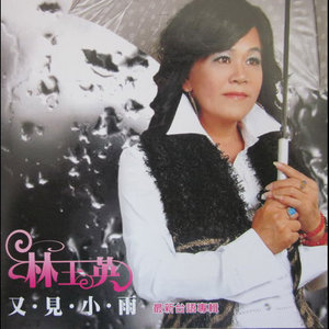 醉情泪(热度:69)由微微翻唱，原唱歌手林玉英