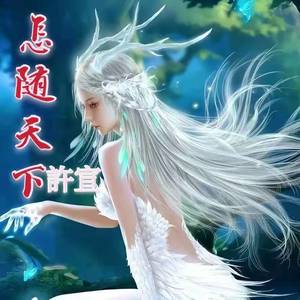 往事随风 怎随天下(抖音dj)超好听