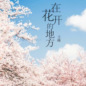 黑色水杯 在花开的地方