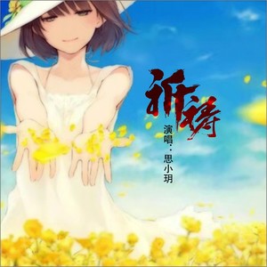 游龙集团七彩滨纷 祈祷(dj新版)(remix)