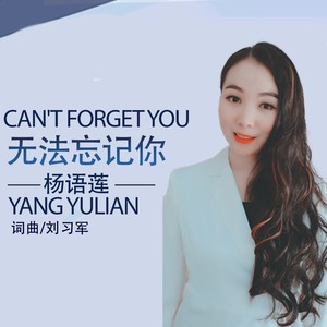 无法忘记你吉他谱图片