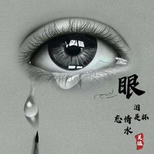 菊韵 眼泪是杯忘情水